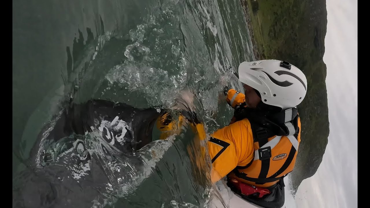 Chasing Waves