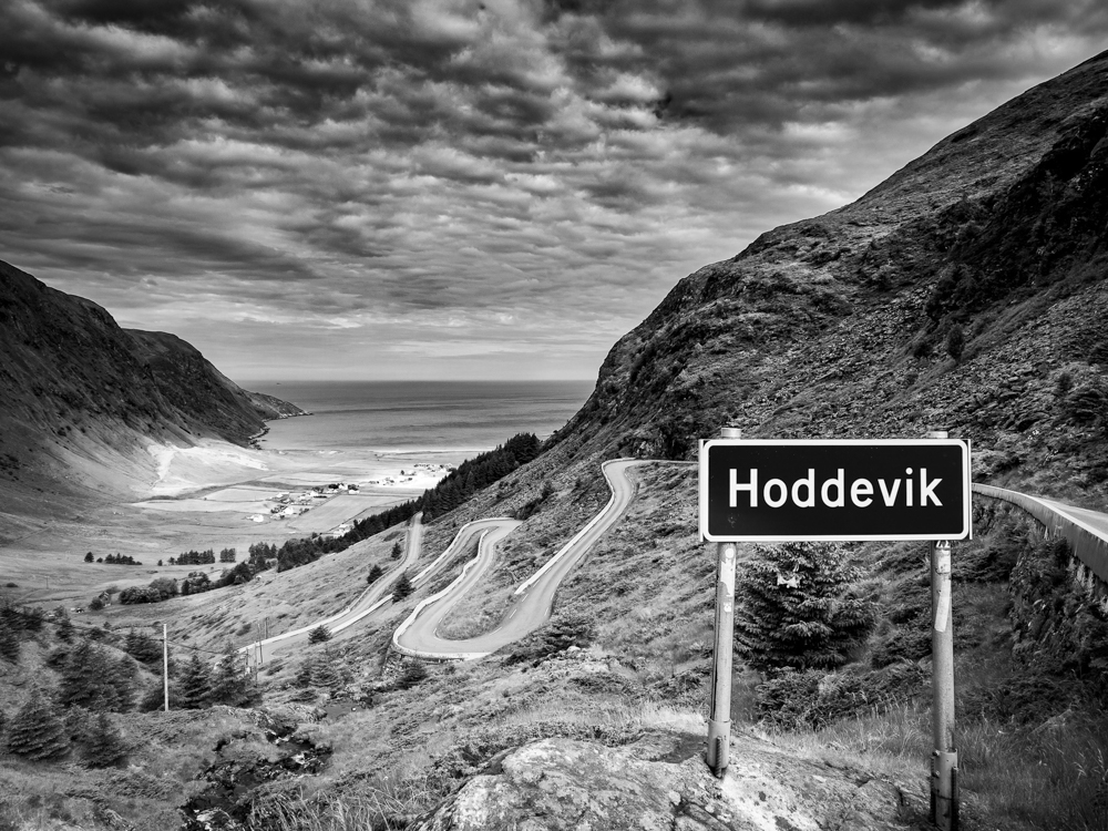 Field Notes: Hoddevik